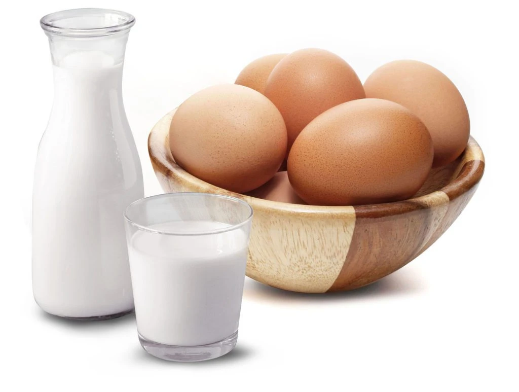 Fresh Dairy & Eggs